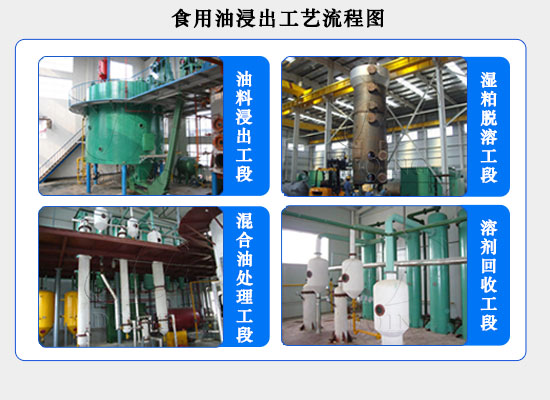 開一個(gè)小型浸出油廠需要投資多少錢?