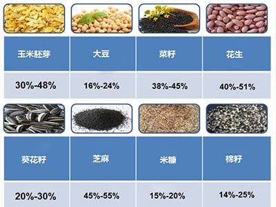全自動榨油機(jī)不同原料出油率